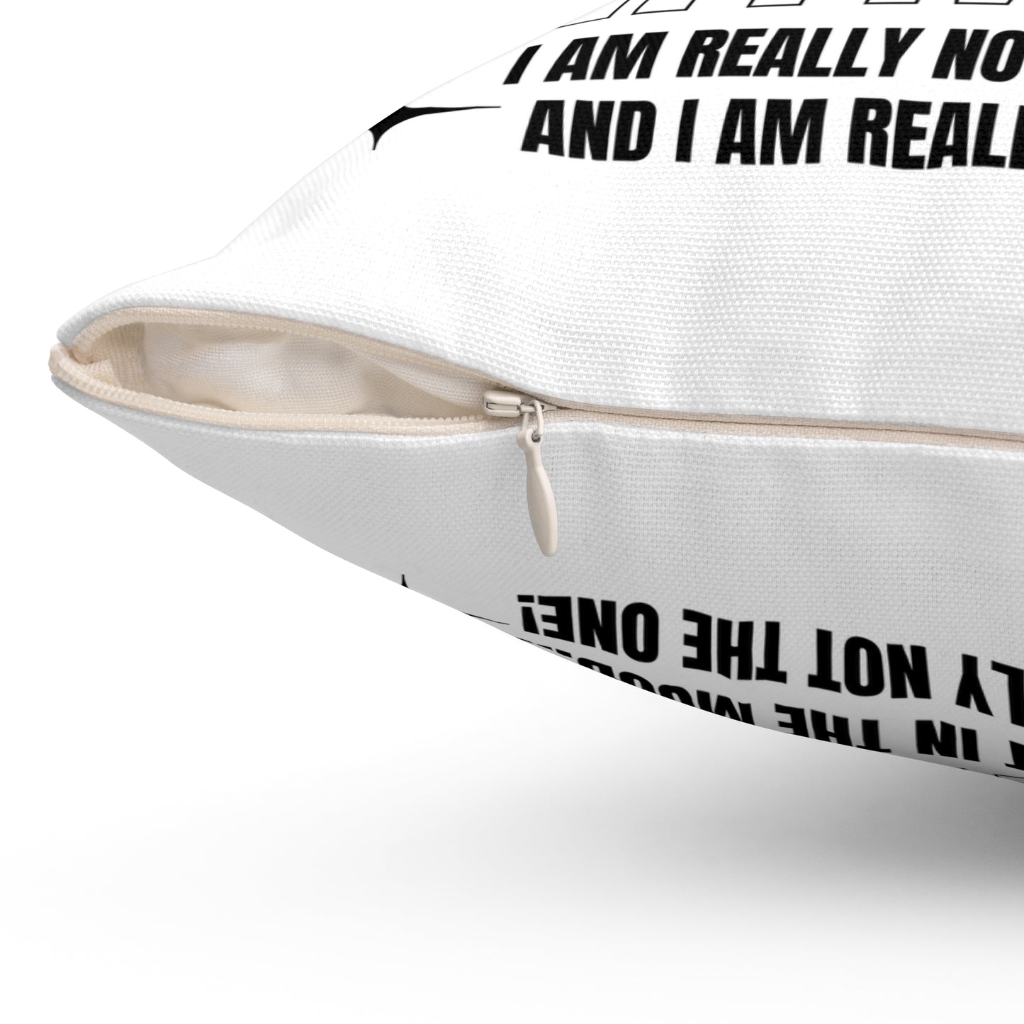 Try Me Not Decorative Pillow