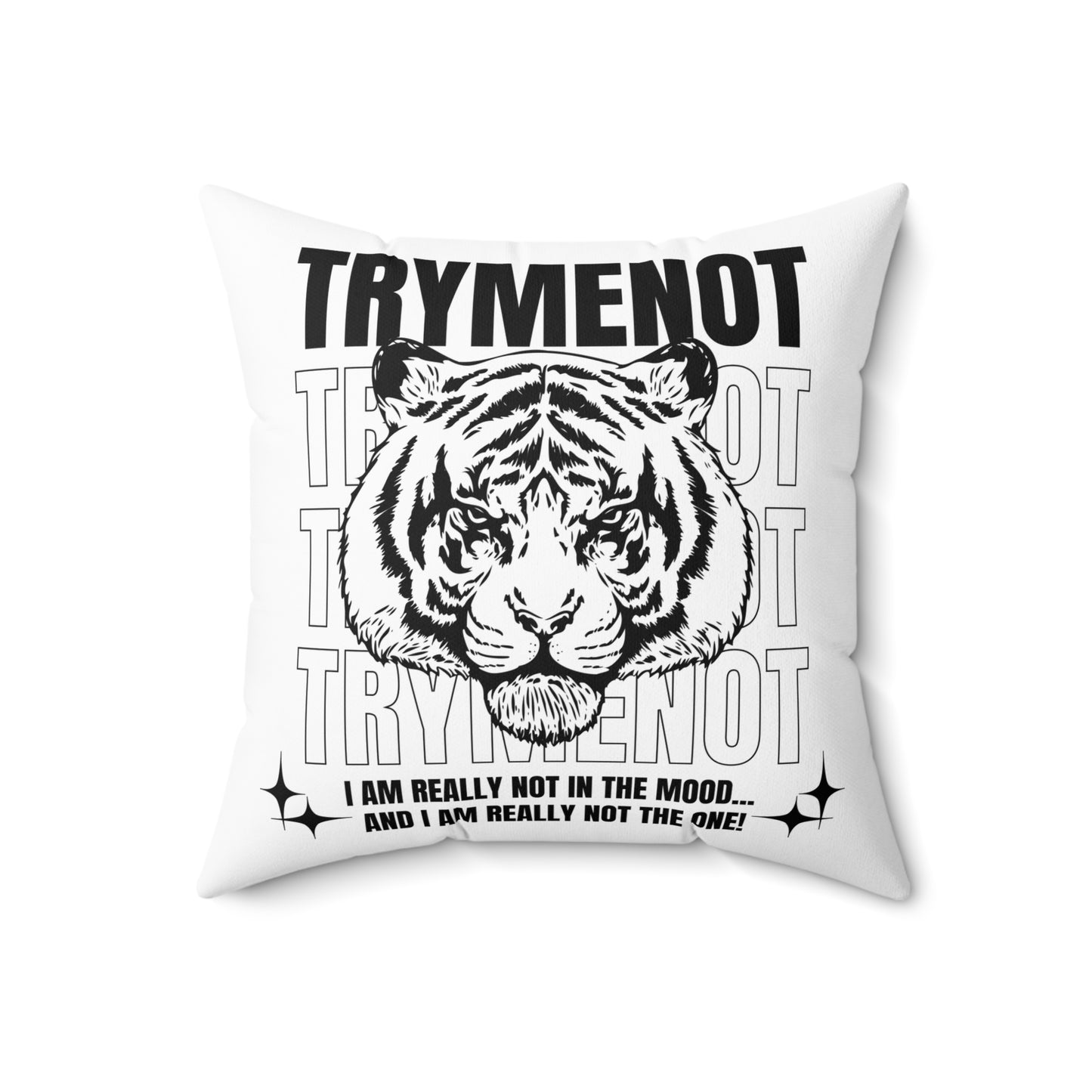 Try Me Not Decorative Pillow