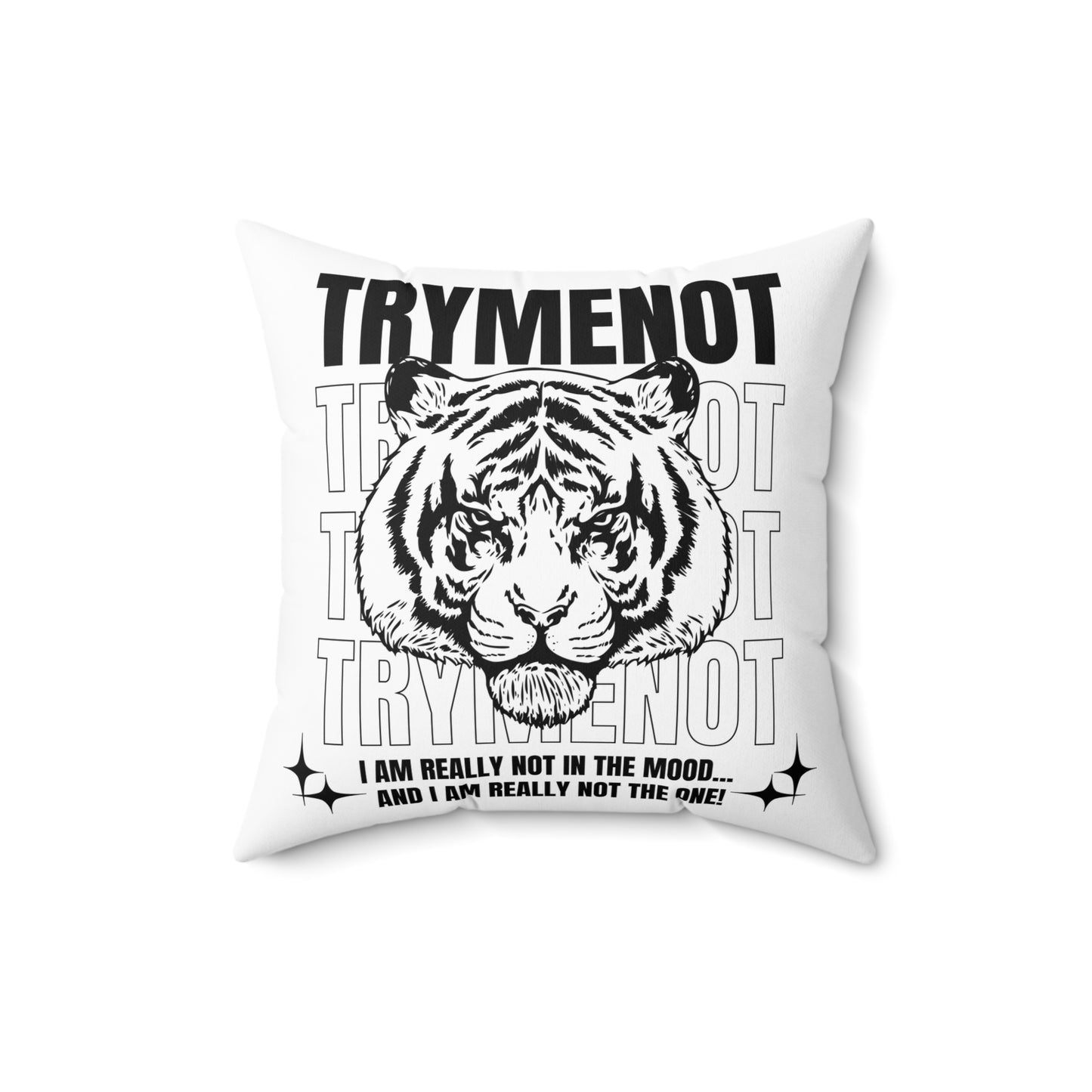 Try Me Not Decorative Pillow