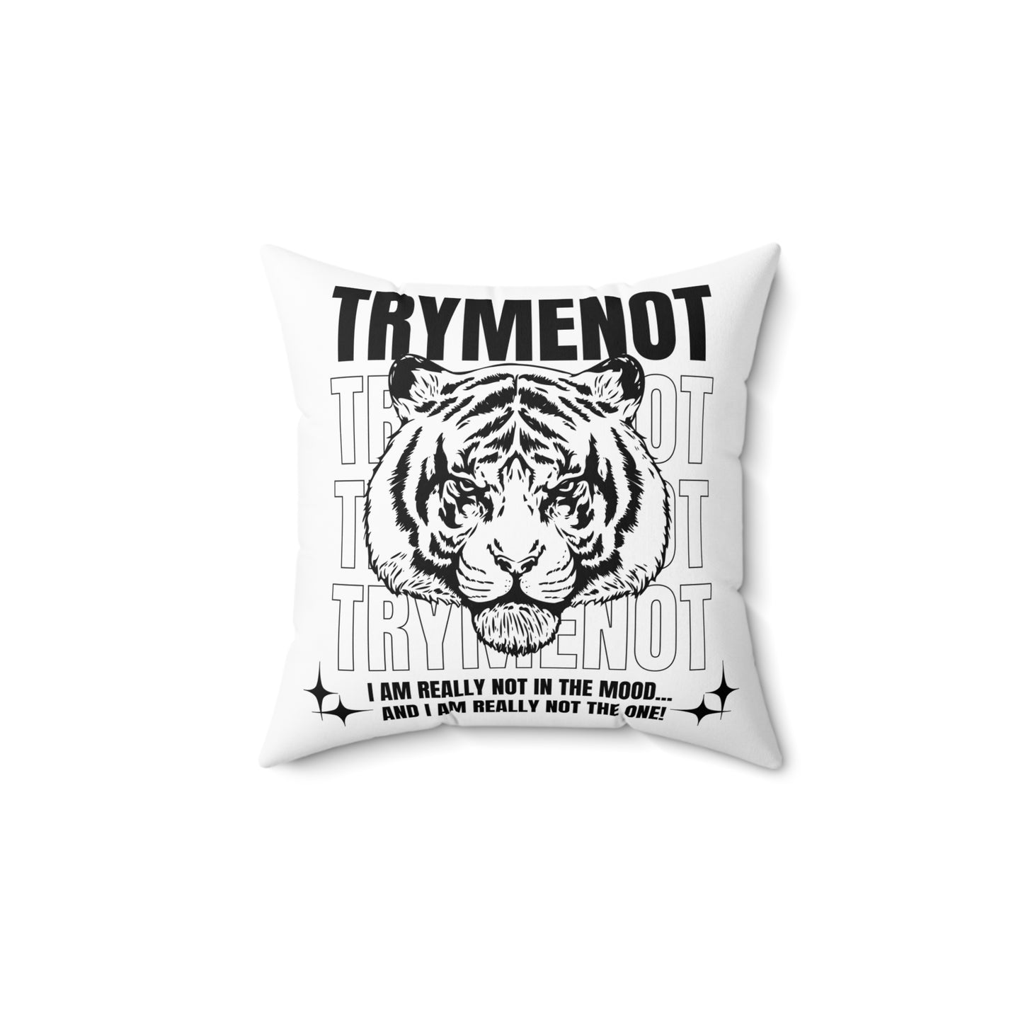 Try Me Not Decorative Pillow