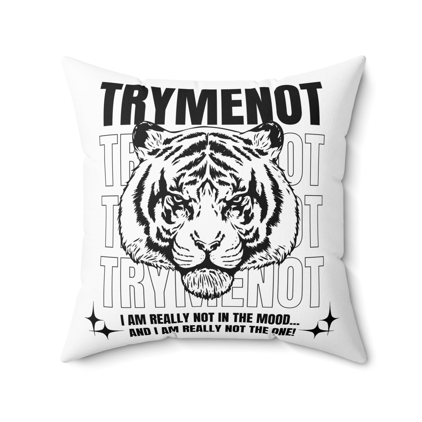 Try Me Not Decorative Pillow