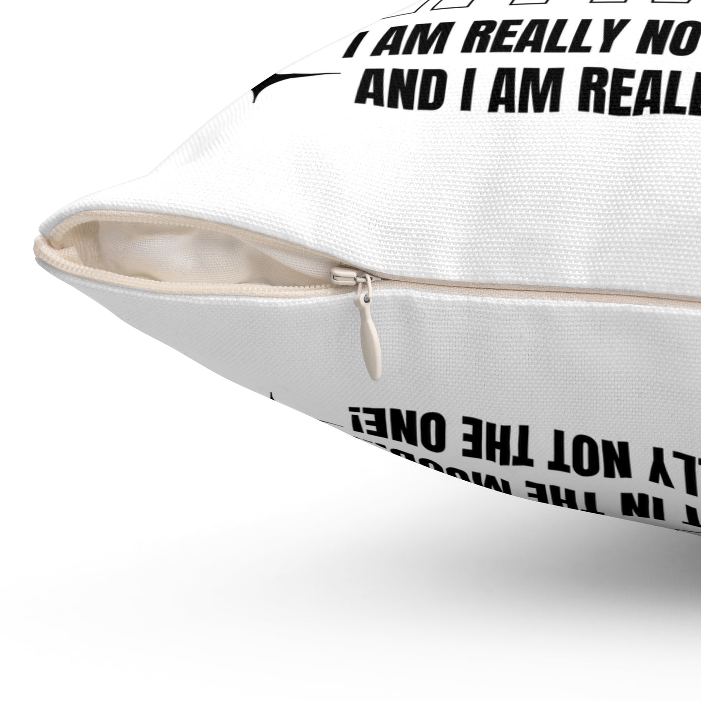 Try Me Not Decorative Pillow