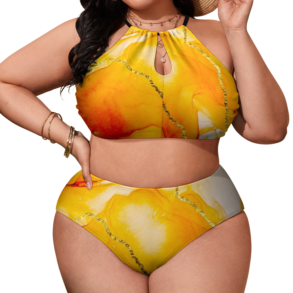 Plus Size Women's Two Piece Swimsuit